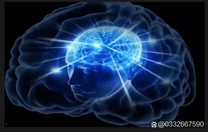 某千万粉丝博主被曝私下辱骂工作人员，人设崩塌引全网热议
